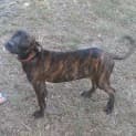 Photo of Emani