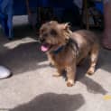 Photo of Jedda