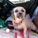 Photo of Chloe