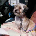 Photo of Bonnie