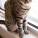 Photo of Shari