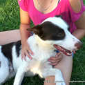 Photo of Turbo (On Trial 22/2/13)