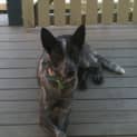 Photo of Jess