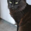 Photo of Shack