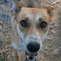 Photo of Zena