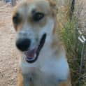 Photo of Zena