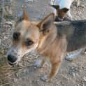 Photo of Zena