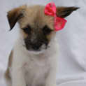 Photo of Sootie