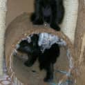 Photo of Sally