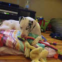 Photo of Max