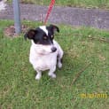 Photo of Bella
