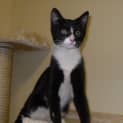 Photo of Bobbie~ Sweet Girl!