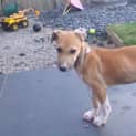 Photo of Orla