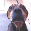 Photo of Errol (On Trial 29/7/13)