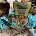 Photo of Rikki