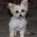 Photo of Munkee
