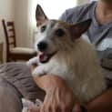 Photo of Jenny