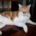 Photo of Mitsey