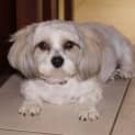 Photo of Jazmine 