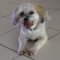 Photo of Sam