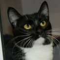Photo of Pippy