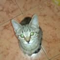 Photo of Wilbur
