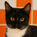 Photo of Pippy