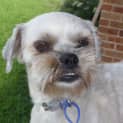 Photo of Wally (On Trial 3/3/13)