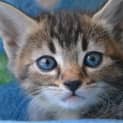 Photo of Gretel