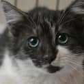 Photo of Lolly