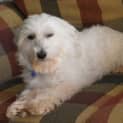 Photo of Noodles (On Trial 20/3/13)