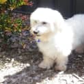 Photo of Noodles (On Trial 20/3/13)