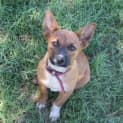 Photo of Mahla