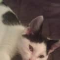 Photo of Ruby