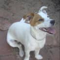 Photo of Lilly