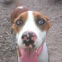 Photo of Spooky