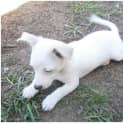 Photo of Nena