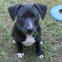 Photo of Roley
