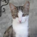 Photo of Luca