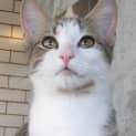 Photo of Luca