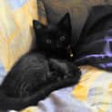 Photo of Miss Obi
