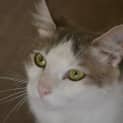 Photo of Chrissy