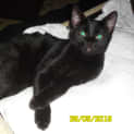 Photo of Claudette