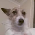 Photo of Charlie