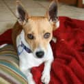 Photo of Betty