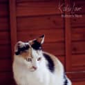 Photo of Juliet