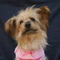 Photo of Lucie