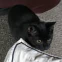 Photo of Bruce