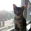Photo of Mae