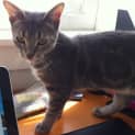 Photo of Mae